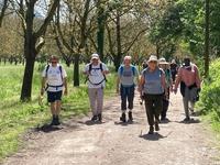 Sur les chemins Sur les chemins