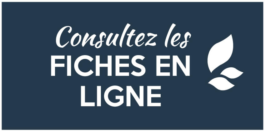 /publications-fraternite-creation.html /publications-fraternite-creation.html